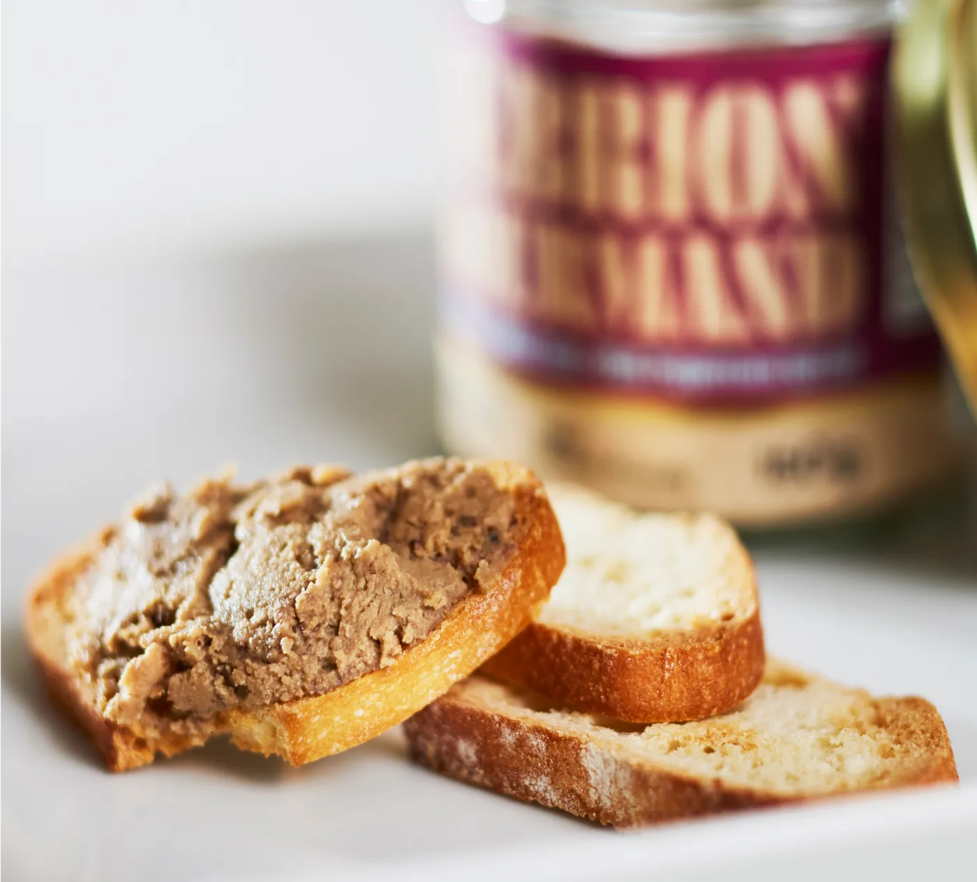 Tartinade sur pain grillé devant un pot TÉNÉBRION GOURMAND